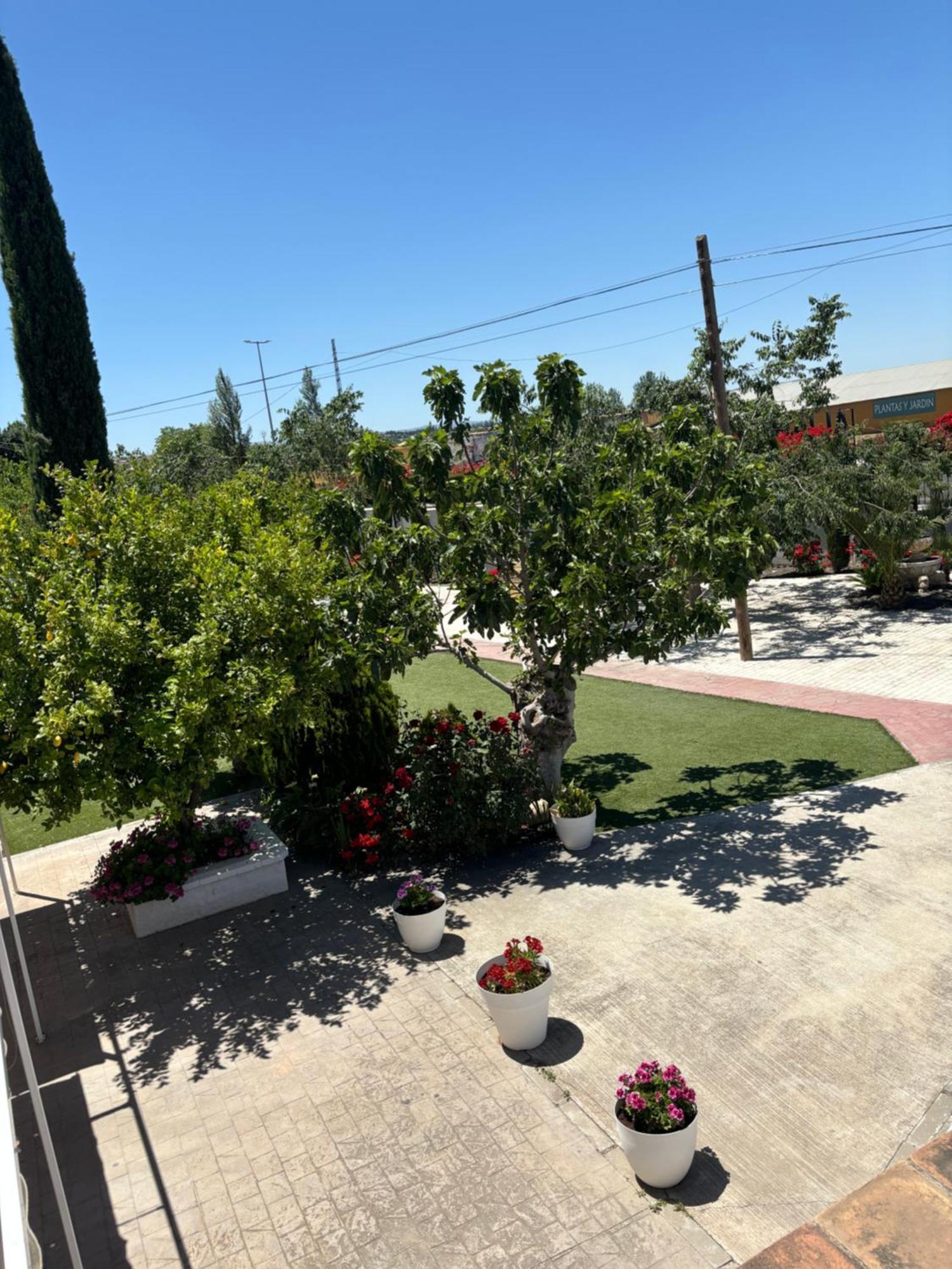 Finca Mi Alma Ogijares ภายนอก รูปภาพ